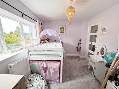 Picture 28